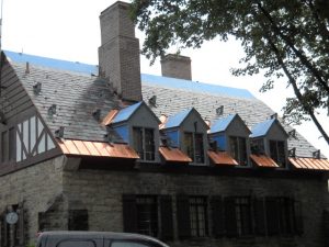 Half Carat Metal with Plate - Allegany State Park - Salamanca, NY